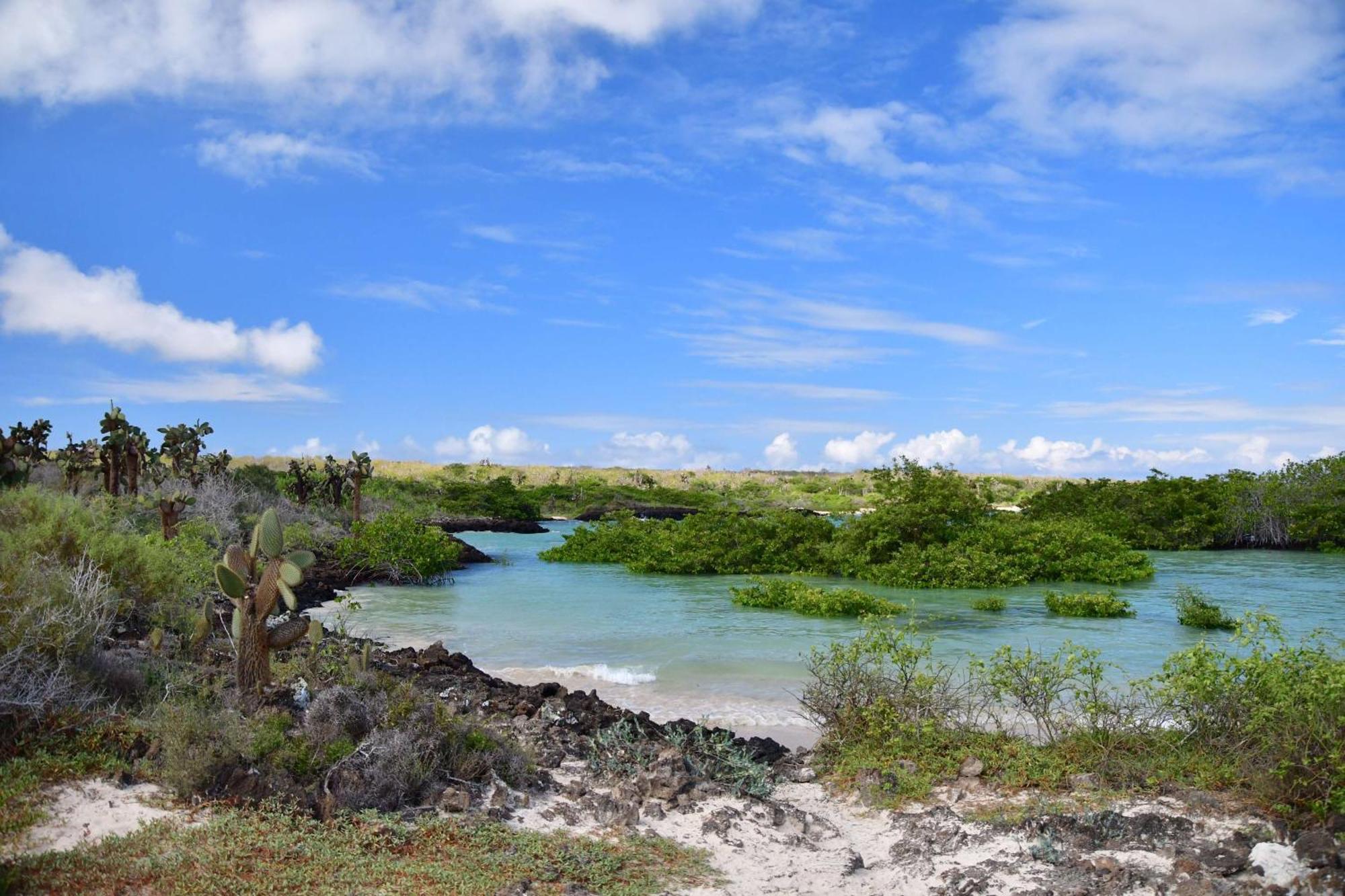 Royal Palm Galapagos, Curio Collection Hotel By Hilton Bellavista  Ngoại thất bức ảnh