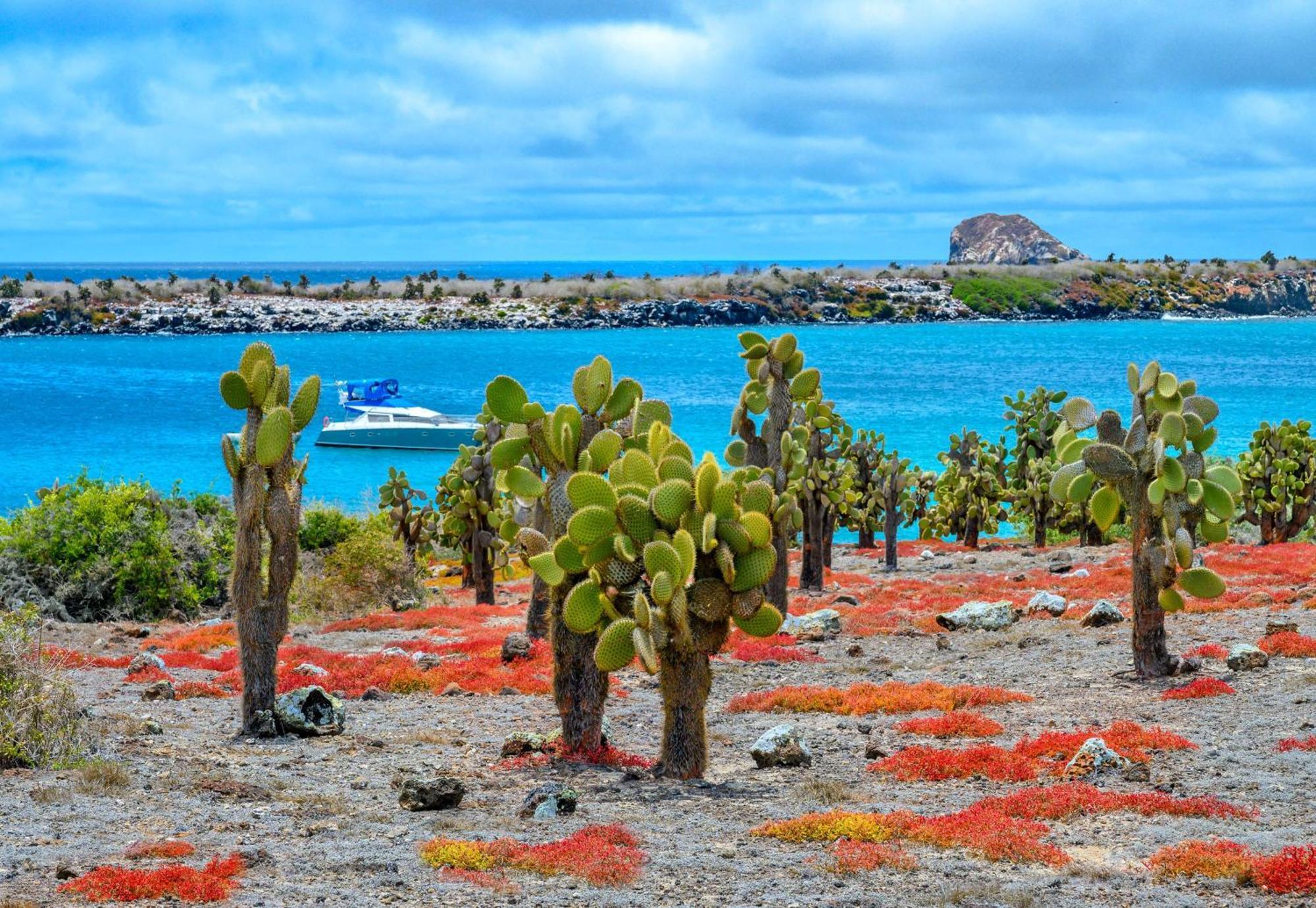 Royal Palm Galapagos, Curio Collection Hotel By Hilton Bellavista  Ngoại thất bức ảnh